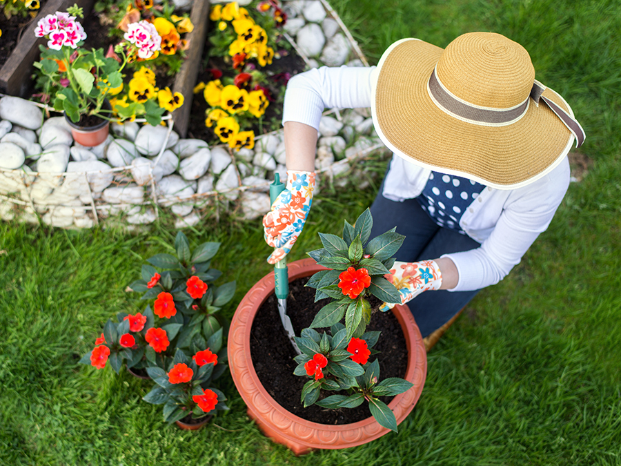 Information for Active Adults About Outdoor Pests